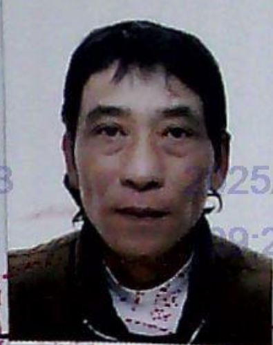 黃立鶯