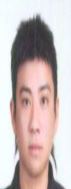 劉政庭